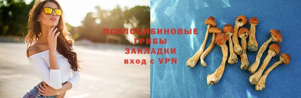 сатива Алзамай