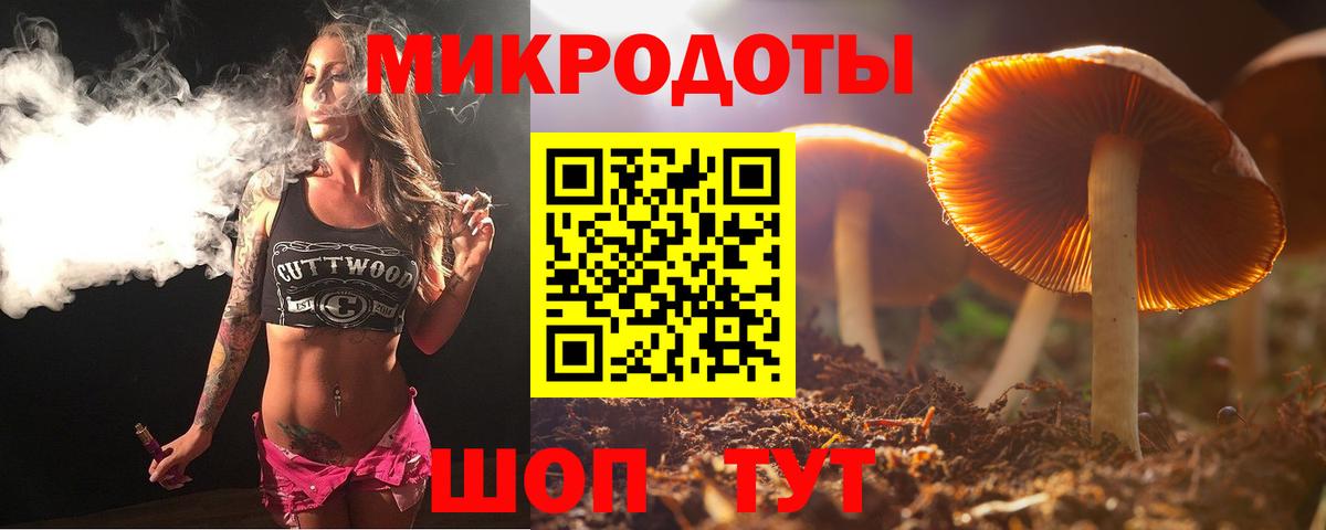 НБОМе Менделеевск