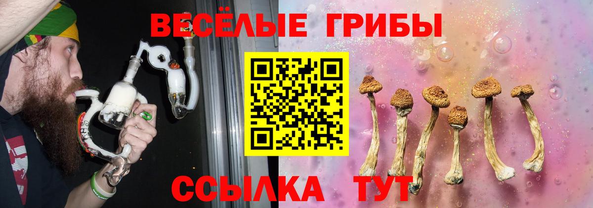 Менделеевск  Псилоцибиновые грибы Psilocybe  Вход с VPN 